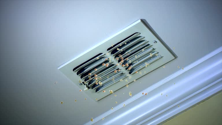 Best Affordable Air Duct Cleaning  in Katy, TX